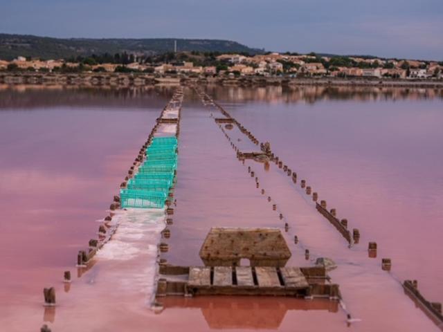 Villa Tamaris Gruissan Buitenkant foto