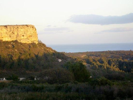 Villa Tamaris Gruissan Buitenkant foto